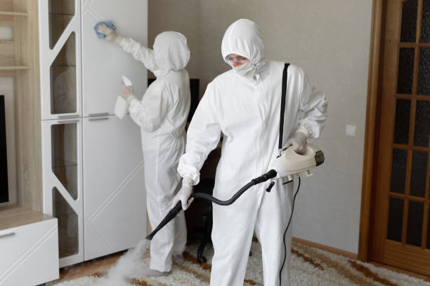 Best Fast Mold Removal  in Glenwood, MN