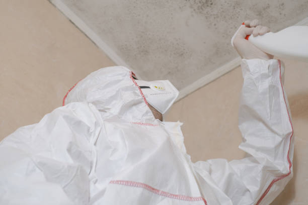 Best Emergency Mold Removal  in Glenwood, MN